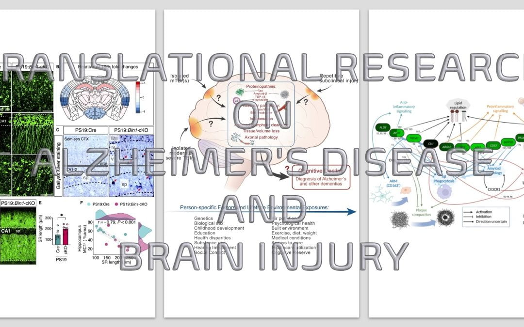 Mini-symposium: Translational Research on Alzheimer’s Disease and Brain Injury